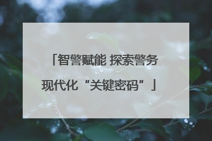智警赋能 探索警务现代化“关键密码”