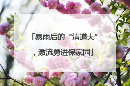 暴雨后的“清道夫”，激流勇进保家园