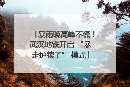 暴雨晚高峰不慌！武汉地铁开启 “暴走护犊子” 模式