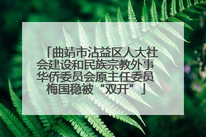 曲靖市沾益区人大社会建设和民族宗教外事华侨委员会原主任委员梅国稳被“双开”