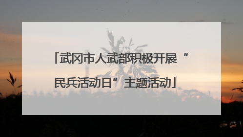 武冈市人武部积极开展“民兵活动日”主题活动
