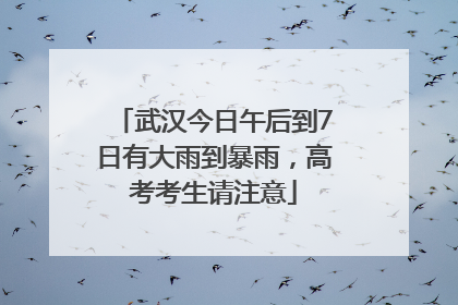 武汉今日午后到7日有大雨到暴雨，高考考生请注意