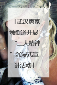 武汉唐家墩街道开展“三大精神”沉浸式宣讲活动