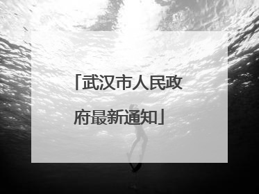 武汉市人民政府最新通知