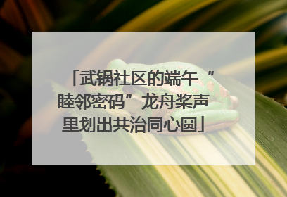 武锅社区的端午“睦邻密码”龙舟桨声里划出共治同心圆