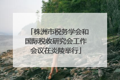 株洲市税务学会和国际税收研究会工作会议在炎陵举行