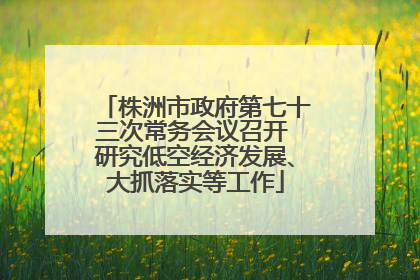 株洲市政府第七十三次常务会议召开 研究低空经济发展、大抓落实等工作