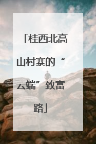 桂西北高山村寨的“云端”致富路