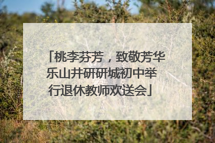桃李芬芳，致敬芳华 乐山井研研城初中举行退休教师欢送会