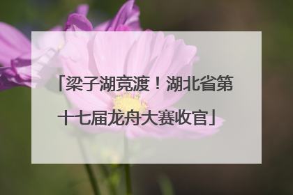 梁子湖竞渡！湖北省第十七届龙舟大赛收官