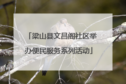 梁山县文昌阁社区举办便民服务系列活动