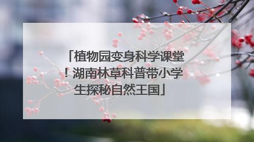 植物园变身科学课堂！湖南林草科普带小学生探秘自然王国