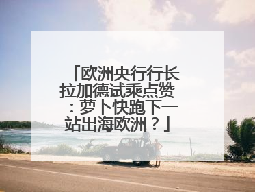 欧洲央行行长拉加德试乘点赞：萝卜快跑下一站出海欧洲？
