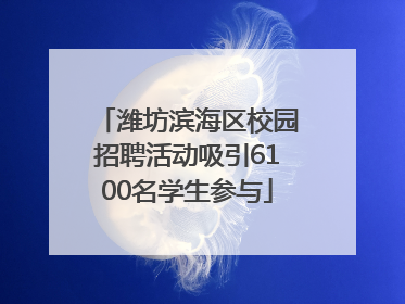 潍坊滨海区校园招聘活动吸引6100名学生参与