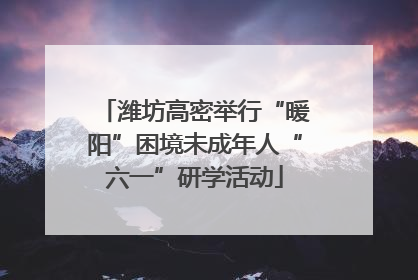 潍坊高密举行“暖阳”困境未成年人“六一”研学活动