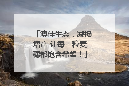 澳佳生态：减损增产 让每一粒麦穗都饱含希望！