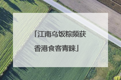 江南乌饭粽频获香港食客青睐