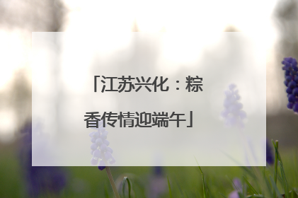 江苏兴化：粽香传情迎端午