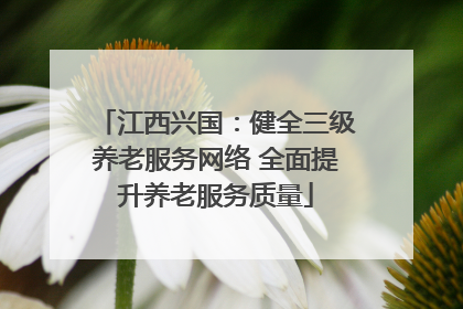 江西兴国：健全三级养老服务网络 全面提升养老服务质量