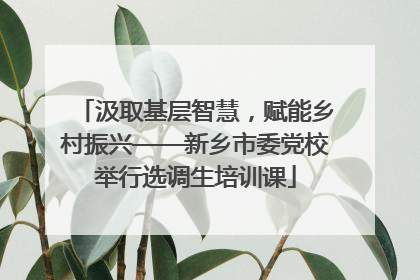 汲取基层智慧，赋能乡村振兴——新乡市委党校举行选调生培训课