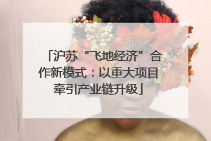 沪苏“飞地经济”合作新模式：以重大项目牵引产业链升级