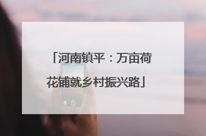 河南镇平：万亩荷花铺就乡村振兴路