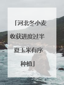 河北冬小麦收获进度过半 夏玉米有序种植