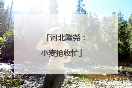 河北隆尧：小麦抢收忙