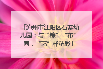 泸州市江阳区石寨幼儿园：与“粽”“布”同，“艺”样精彩