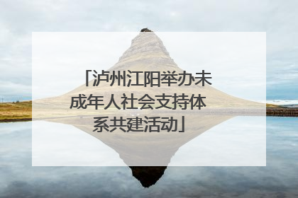 泸州江阳举办未成年人社会支持体系共建活动