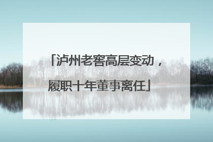 泸州老窖高层变动，履职十年董事离任