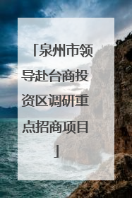 泉州市领导赴台商投资区调研重点招商项目