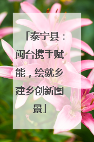 泰宁县：闽台携手赋能，绘就乡建乡创新图景