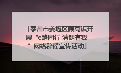 泰州市姜堰区顾高镇开展“e路同行 清朗有我”网络辟谣宣传活动