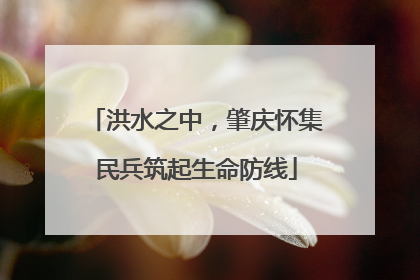 洪水之中，肇庆怀集民兵筑起生命防线
