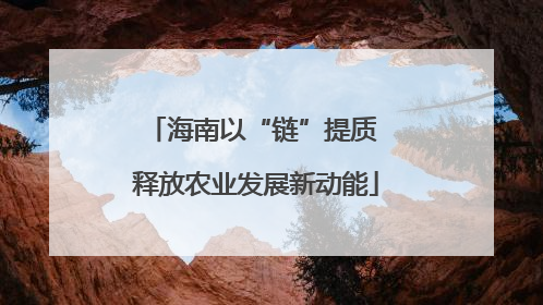 海南以“链”提质 释放农业发展新动能