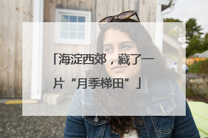 海淀西郊，藏了一片“月季梯田”