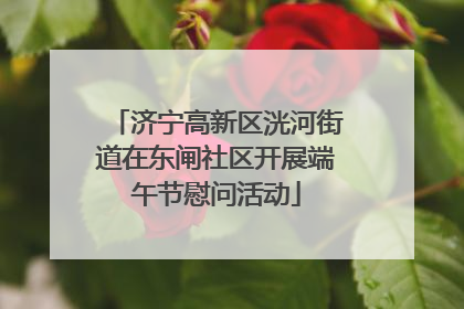 济宁高新区洸河街道在东闸社区开展端午节慰问活动