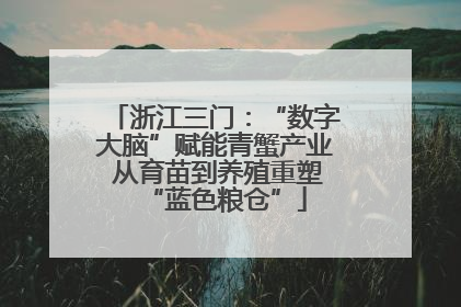 浙江三门：“数字大脑”赋能青蟹产业 从育苗到养殖重塑“蓝色粮仓”