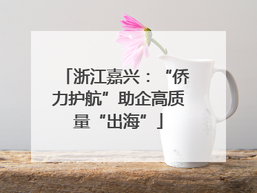 浙江嘉兴：“侨力护航”助企高质量“出海”