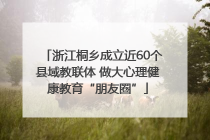 浙江桐乡成立近60个县域教联体 做大心理健康教育“朋友圈”