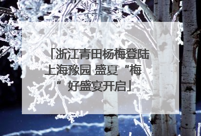 浙江青田杨梅登陆上海豫园 盛夏“梅”好盛宴开启