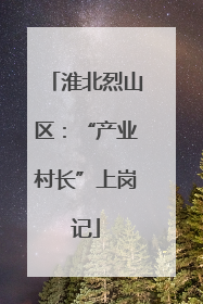 淮北烈山区：“产业村长”上岗记