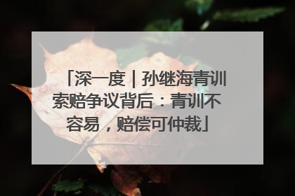 深一度｜孙继海青训索赔争议背后：青训不容易，赔偿可仲裁