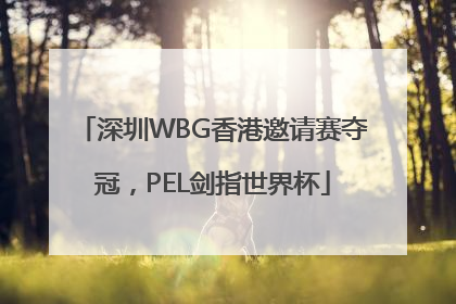 深圳WBG香港邀请赛夺冠，PEL剑指世界杯