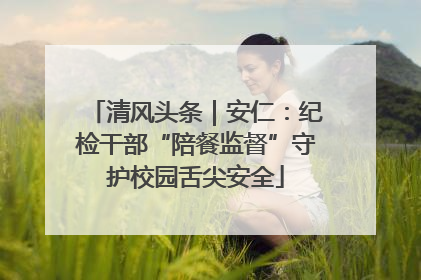 清风头条｜安仁：纪检干部“陪餐监督”守护校园舌尖安全