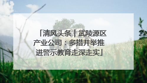 清风头条｜武陵源区产业公司：多措并举推进警示教育走深走实