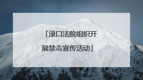 渌口法院组织开展禁毒宣传活动