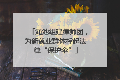 渑池组建律师团，为新就业群体撑起法律“保护伞”