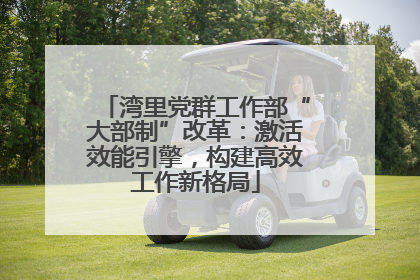 湾里党群工作部“大部制”改革：激活效能引擎，构建高效工作新格局